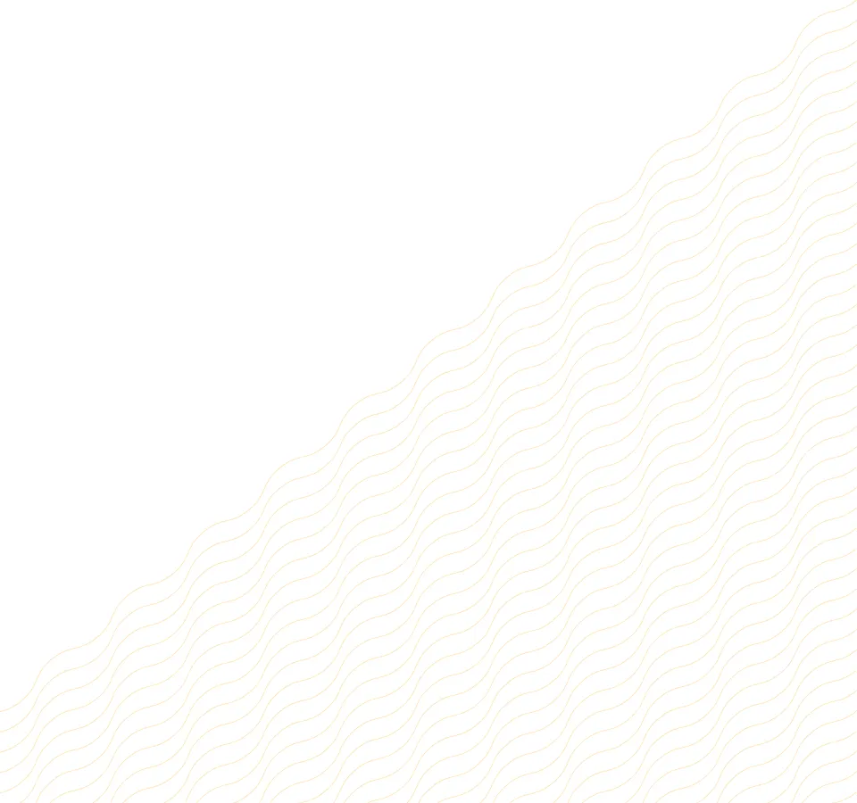 Abstract wavy lines on a white background.