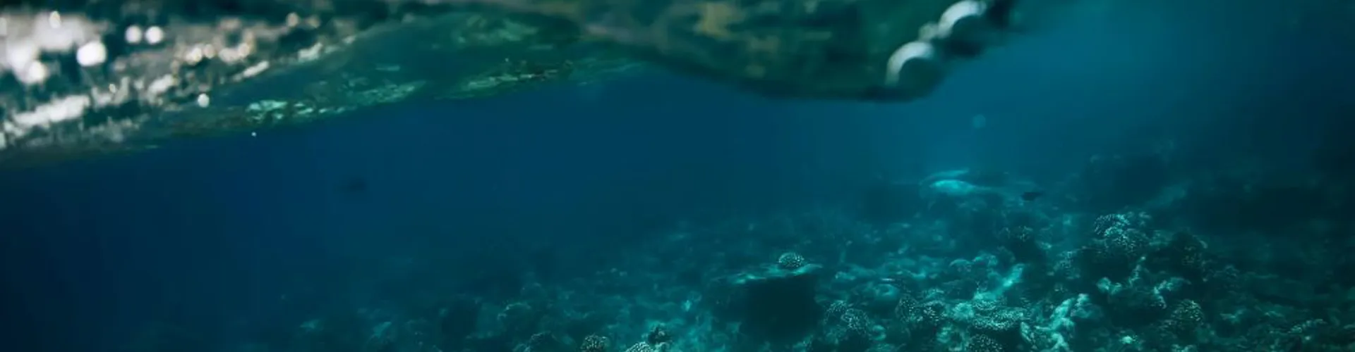 A surfing wave with waterline over tropical coral reef