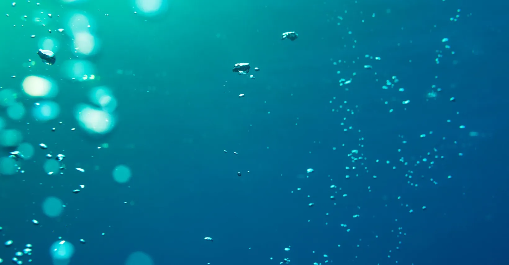 Underwater air bubbles moving upwards