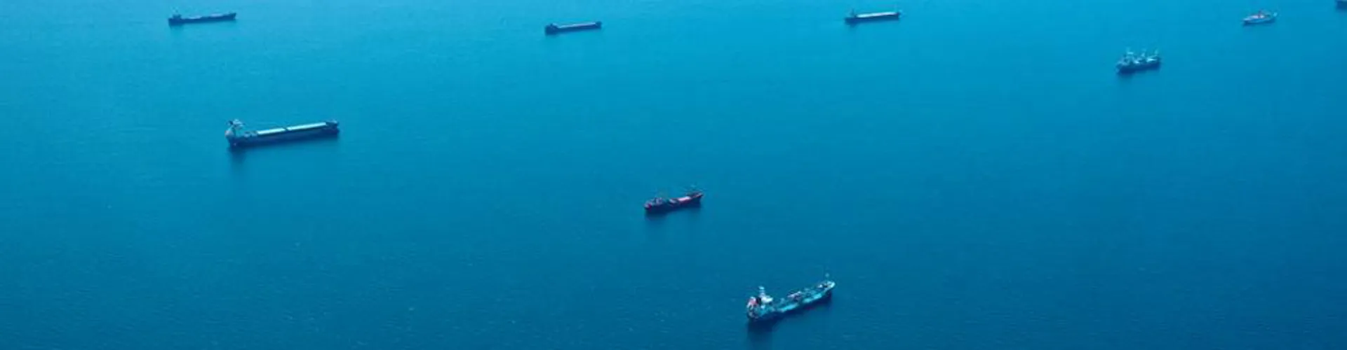Aerial view of numerous cargo ships scattered across a calm, clear blue ocean.